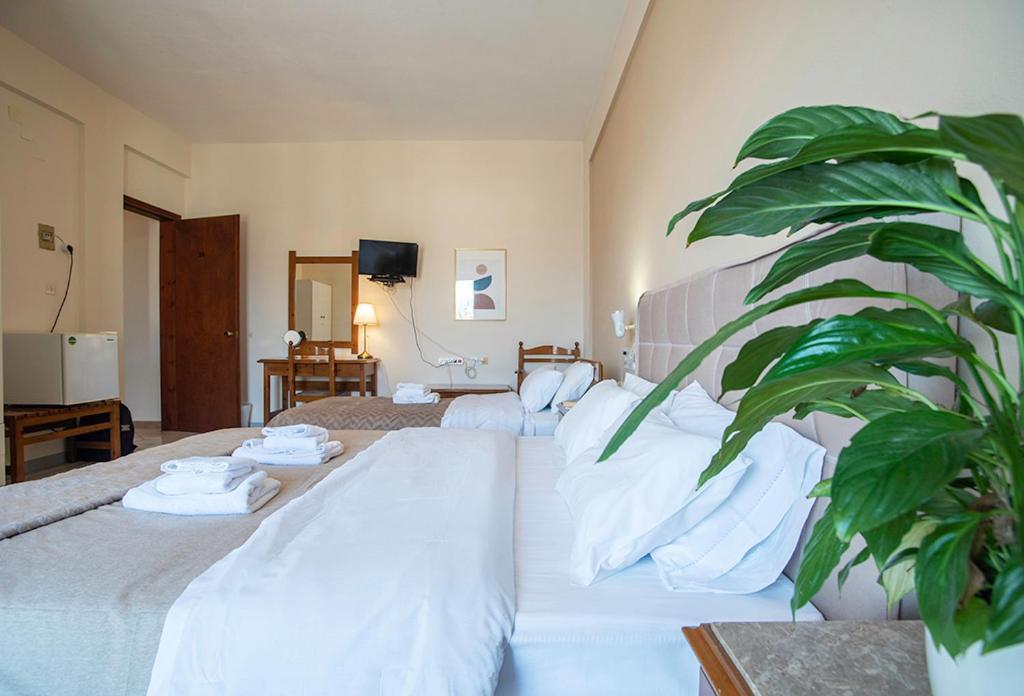 Koukonas Hotel Galaxidi Luaran gambar